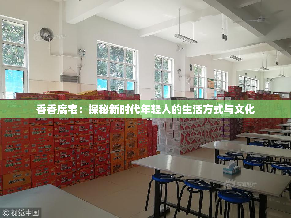 香香腐宅：探秘新时代年轻人的生活方式与文化