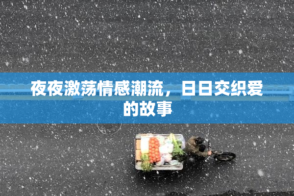 夜夜激荡情感潮流，日日交织爱的故事