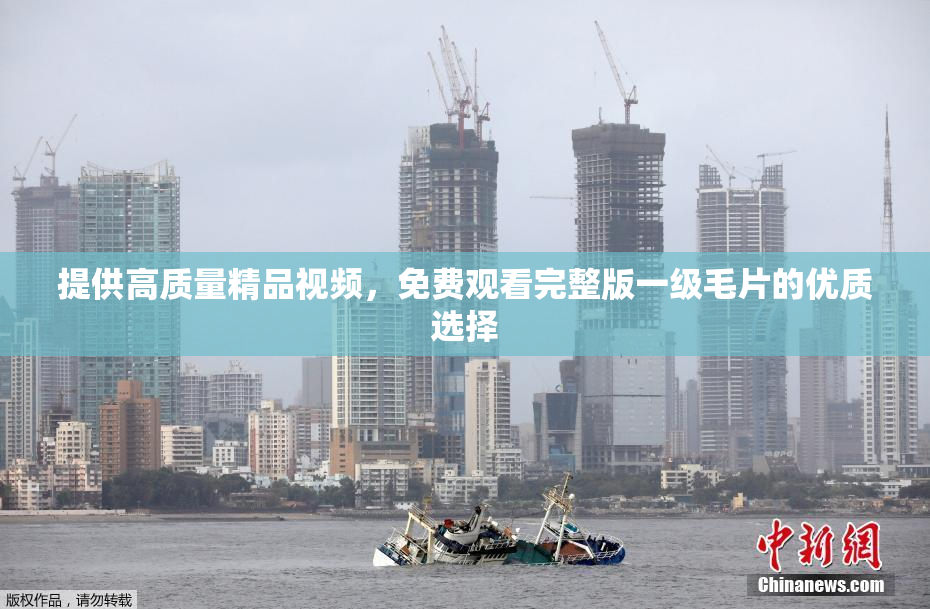 提供高质量精品视频，免费观看完整版一级毛片的优质选择