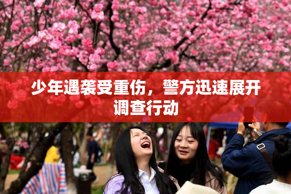 少年遇袭受重伤，警方迅速展开调查行动