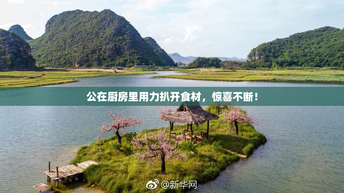 公在厨房里用力扒开食材，惊喜不断！