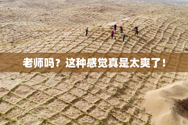 老师吗？这种感觉真是太爽了！
