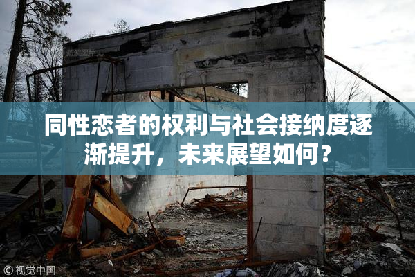 同性恋者的权利与社会接纳度逐渐提升，未来展望如何？