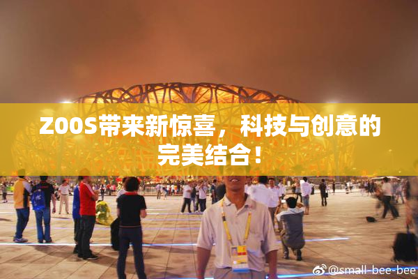 Z00S带来新惊喜，科技与创意的完美结合！