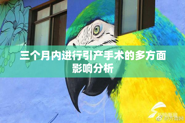 三个月内进行引产手术的多方面影响分析