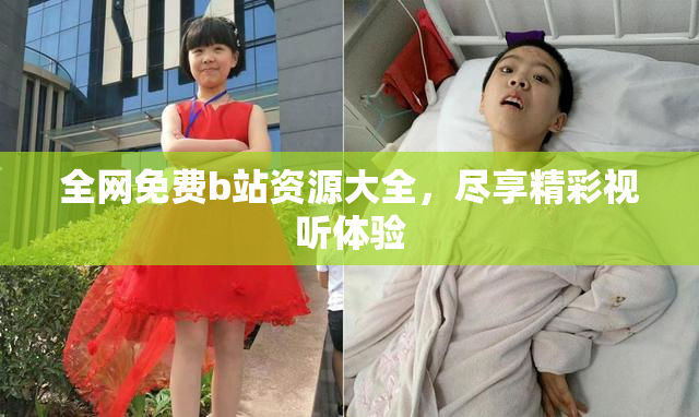 全网免费b站资源大全，尽享精彩视听体验