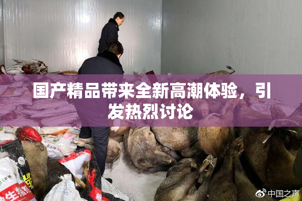 国产精品带来全新高潮体验，引发热烈讨论