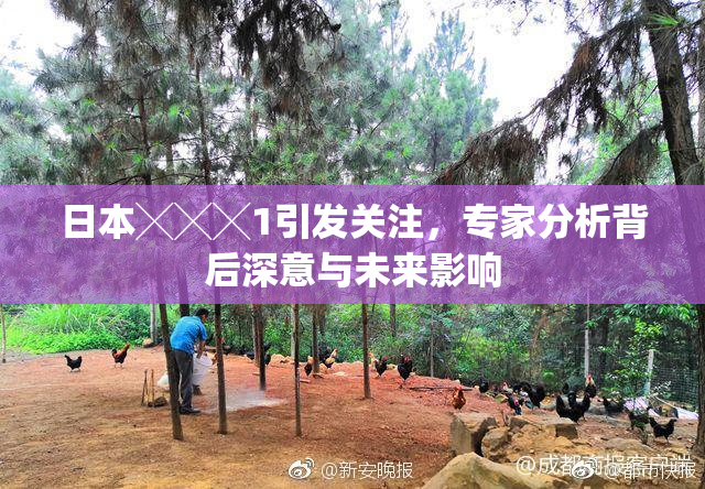 日本╳╳╳1引发关注，专家分析背后深意与未来影响