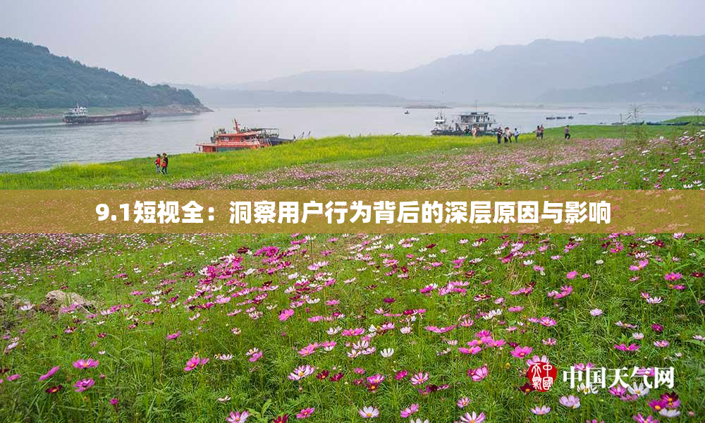 9.1短视全：洞察用户行为背后的深层原因与影响