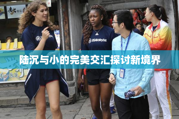 陆沉与小的完美交汇探讨新境界