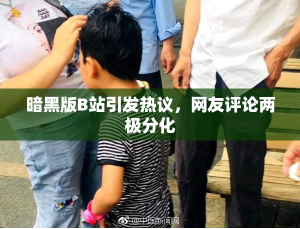 暗黑版B站引发热议，网友评论两极分化
