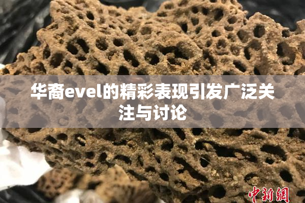 华裔evel的精彩表现引发广泛关注与讨论