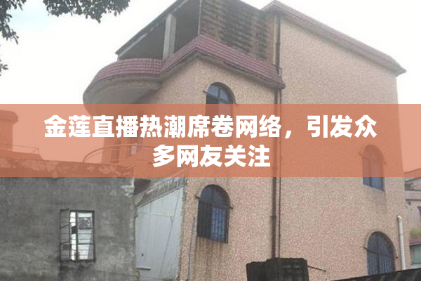 金莲直播热潮席卷网络，引发众多网友关注