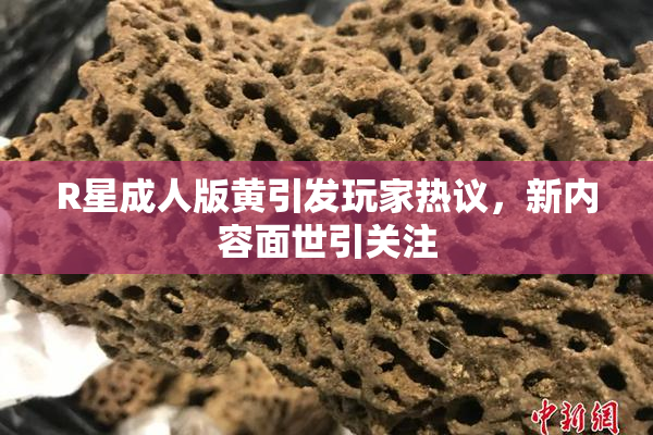 R星成人版黄引发玩家热议，新内容面世引关注