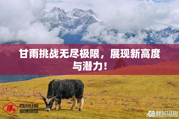甘雨挑战无尽极限，展现新高度与潜力！