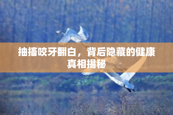抽搐咬牙翻白，背后隐藏的健康真相揭秘