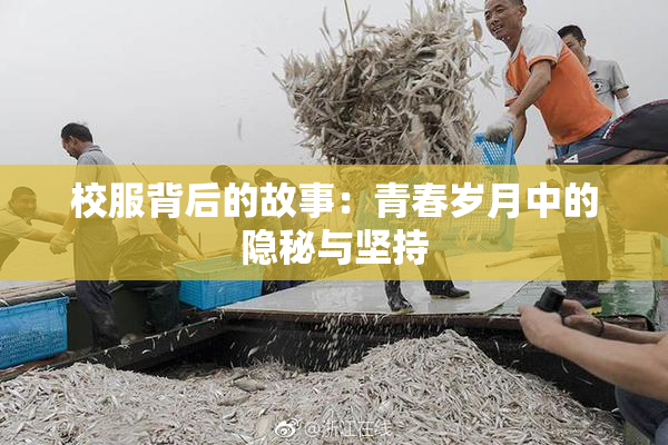 校服背后的故事：青春岁月中的隐秘与坚持