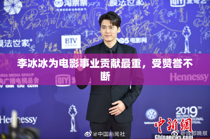 李冰冰为电影事业贡献最重，受赞誉不断