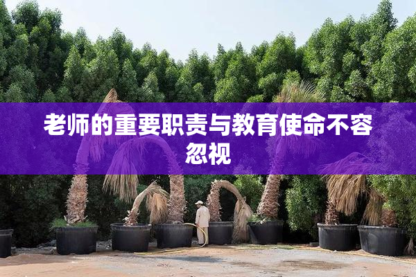 老师的重要职责与教育使命不容忽视
