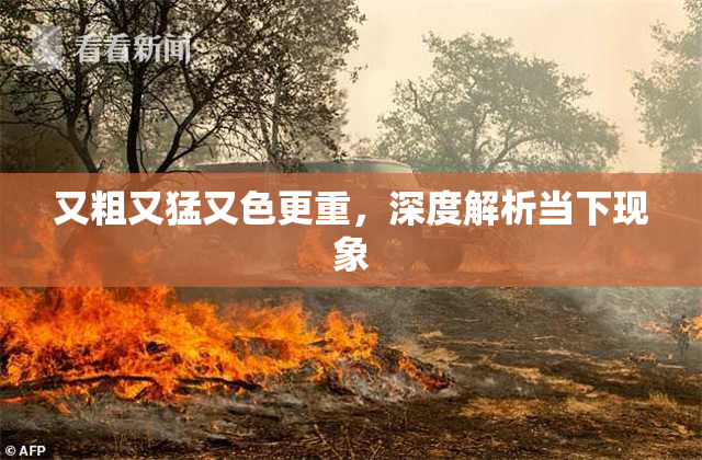 又粗又猛又色更重，深度解析当下现象
