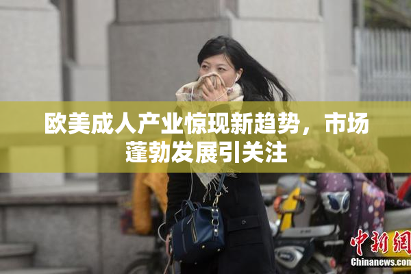 欧美成人产业惊现新趋势，市场蓬勃发展引关注