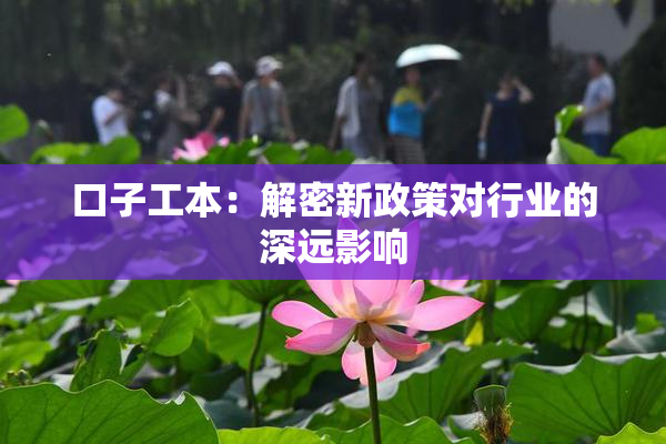 口子工本：解密新政策对行业的深远影响