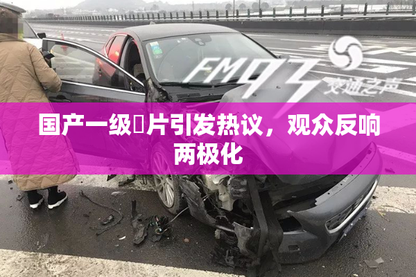 国产一级婬片引发热议，观众反响两极化