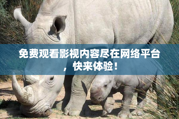 免费观看影视内容尽在网络平台，快来体验！