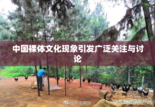中国裸体文化现象引发广泛关注与讨论
