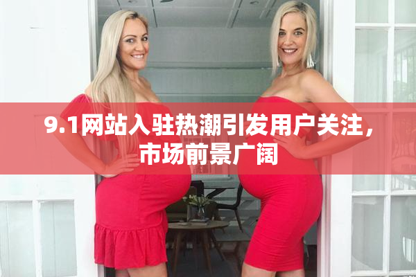 9.1网站入驻热潮引发用户关注，市场前景广阔