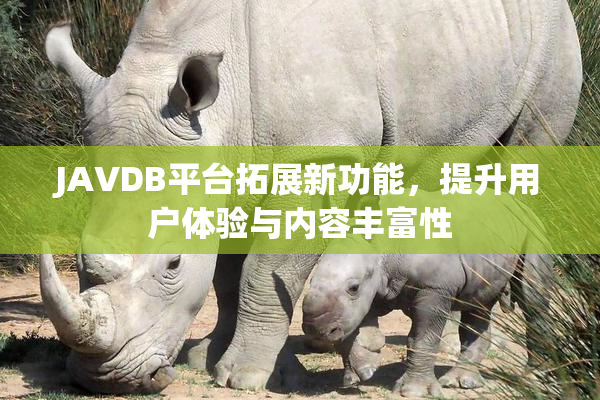JAVDB平台拓展新功能，提升用户体验与内容丰富性