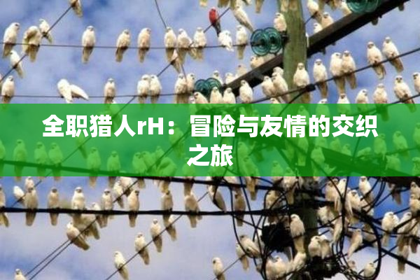 全职猎人rH：冒险与友情的交织之旅