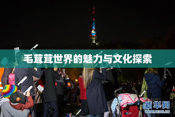 毛茸茸世界的魅力与文化探索