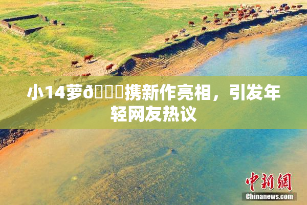 小14萝🔞携新作亮相，引发年轻网友热议