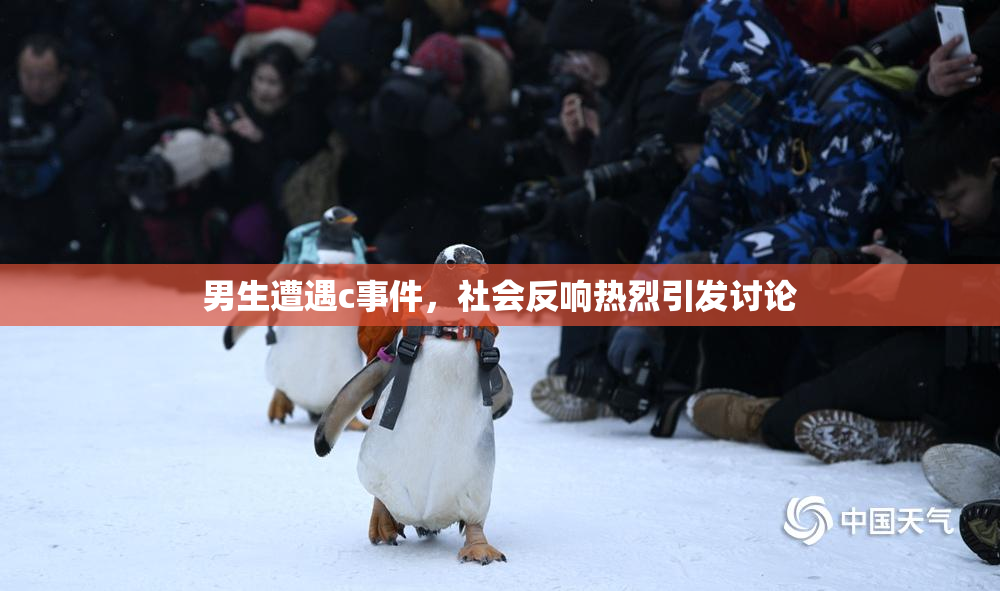 男生遭遇c事件，社会反响热烈引发讨论