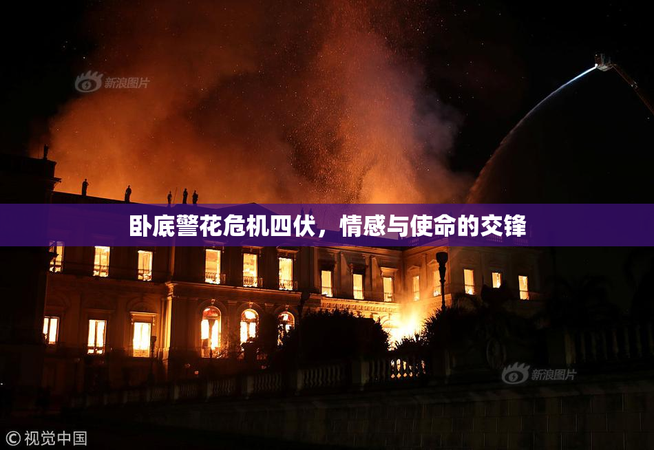 卧底警花危机四伏，情感与使命的交锋