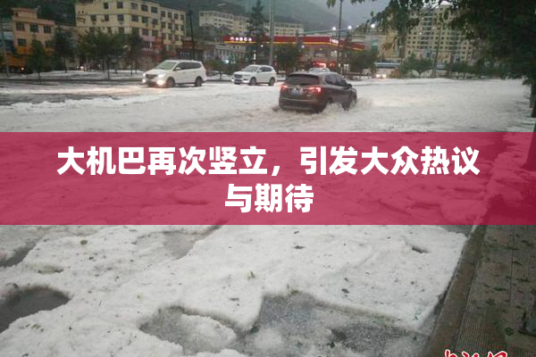 大机巴再次竖立，引发大众热议与期待