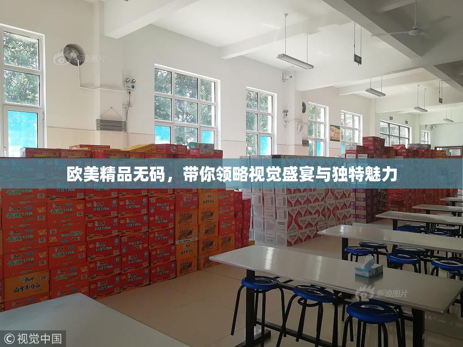 欧美精品无码，带你领略视觉盛宴与独特魅力