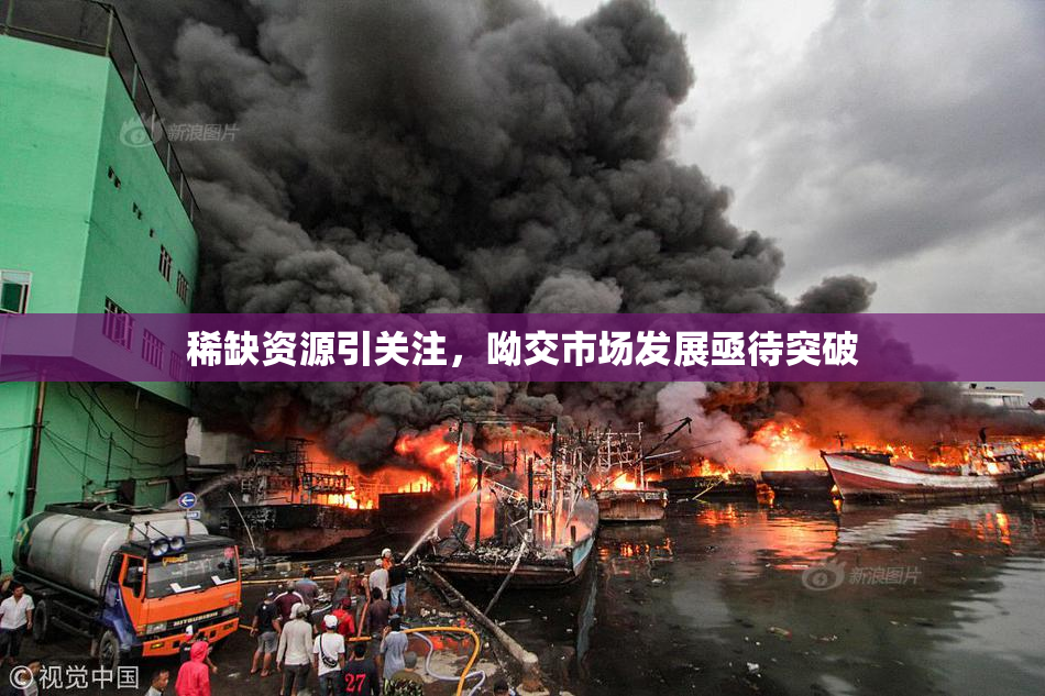 稀缺资源引关注，呦交市场发展亟待突破