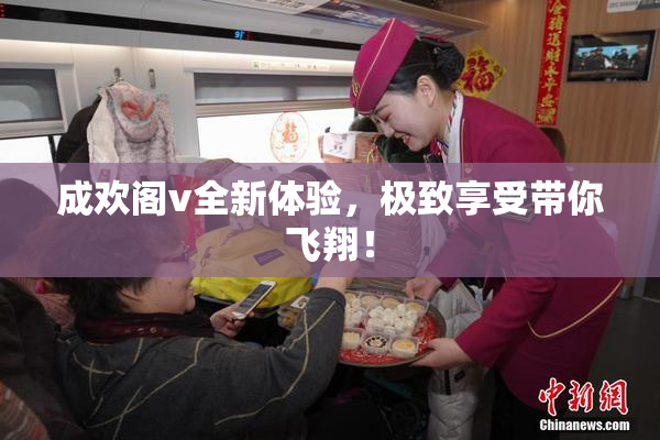 成欢阁v全新体验，极致享受带你飞翔！