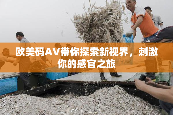 欧美码AV带你探索新视界，刺激你的感官之旅