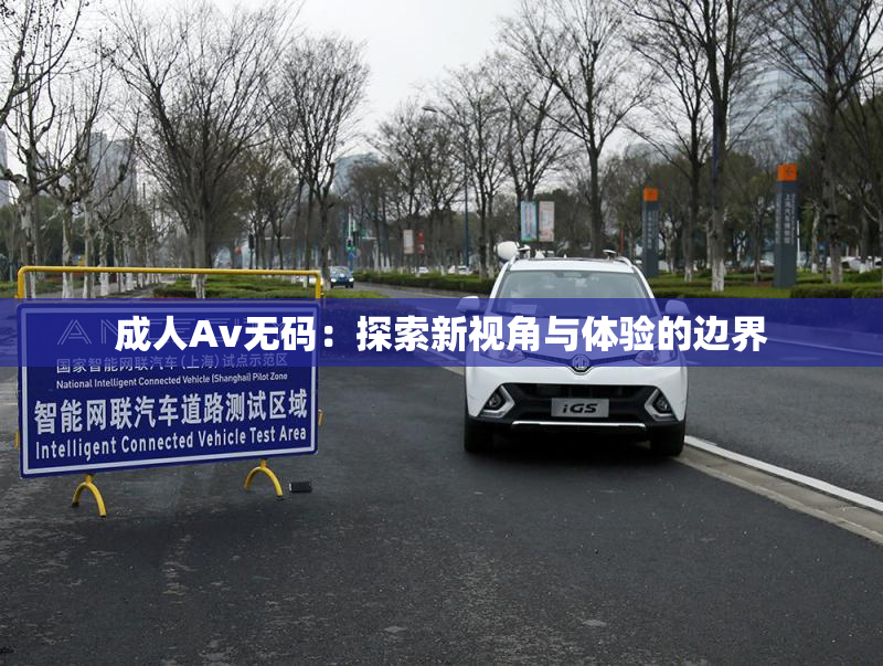 成人Av无码：探索新视角与体验的边界