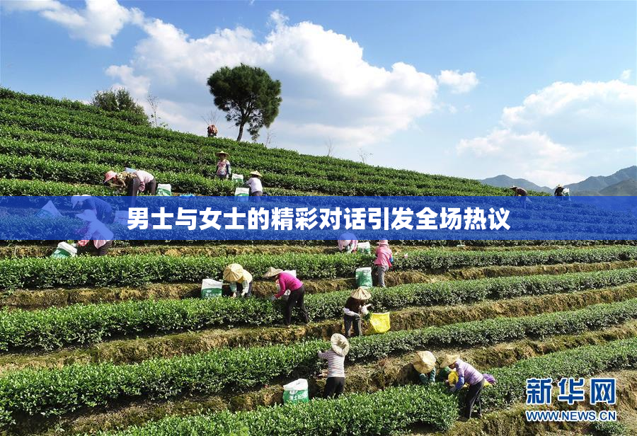 男士与女士的精彩对话引发全场热议