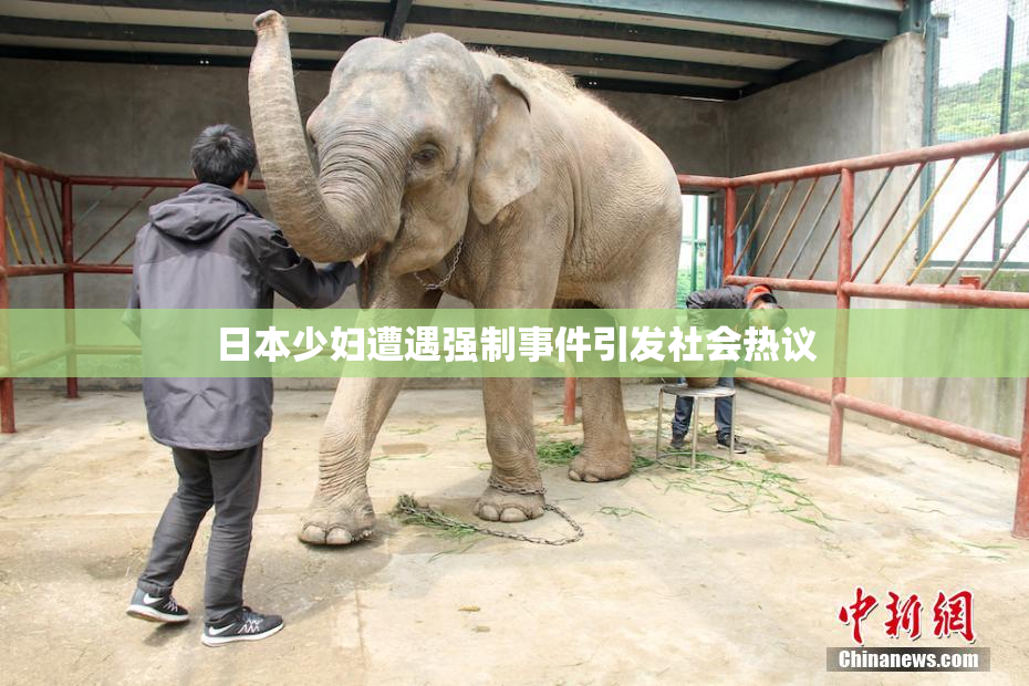 日本少妇遭遇强制事件引发社会热议