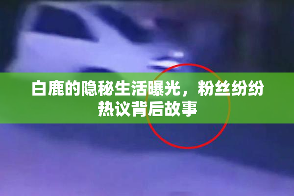 白鹿的隐秘生活曝光，粉丝纷纷热议背后故事