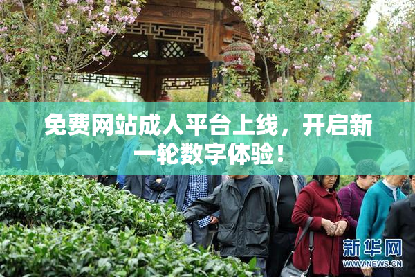 免费网站成人平台上线，开启新一轮数字体验！