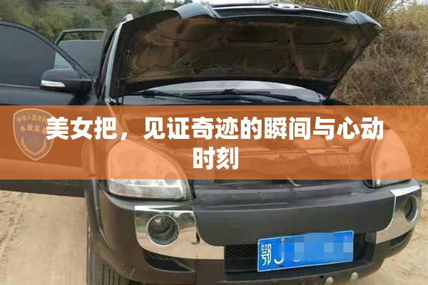 美女把，见证奇迹的瞬间与心动时刻