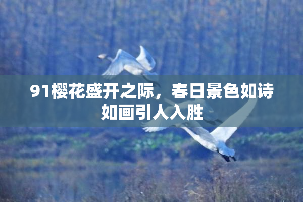 91樱花盛开之际，春日景色如诗如画引人入胜