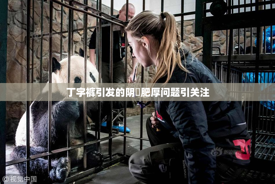 丁字裤引发的阴脣肥厚问题引关注
