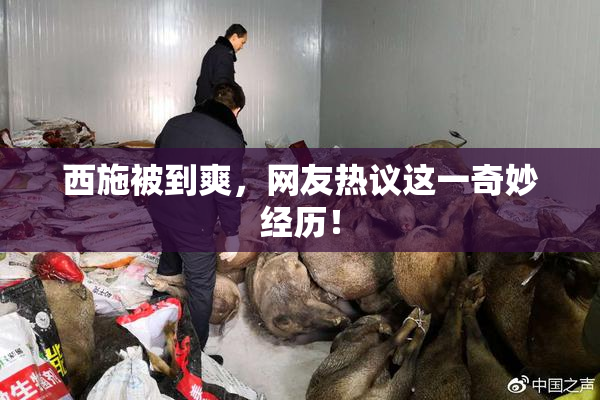西施被到爽，网友热议这一奇妙经历！